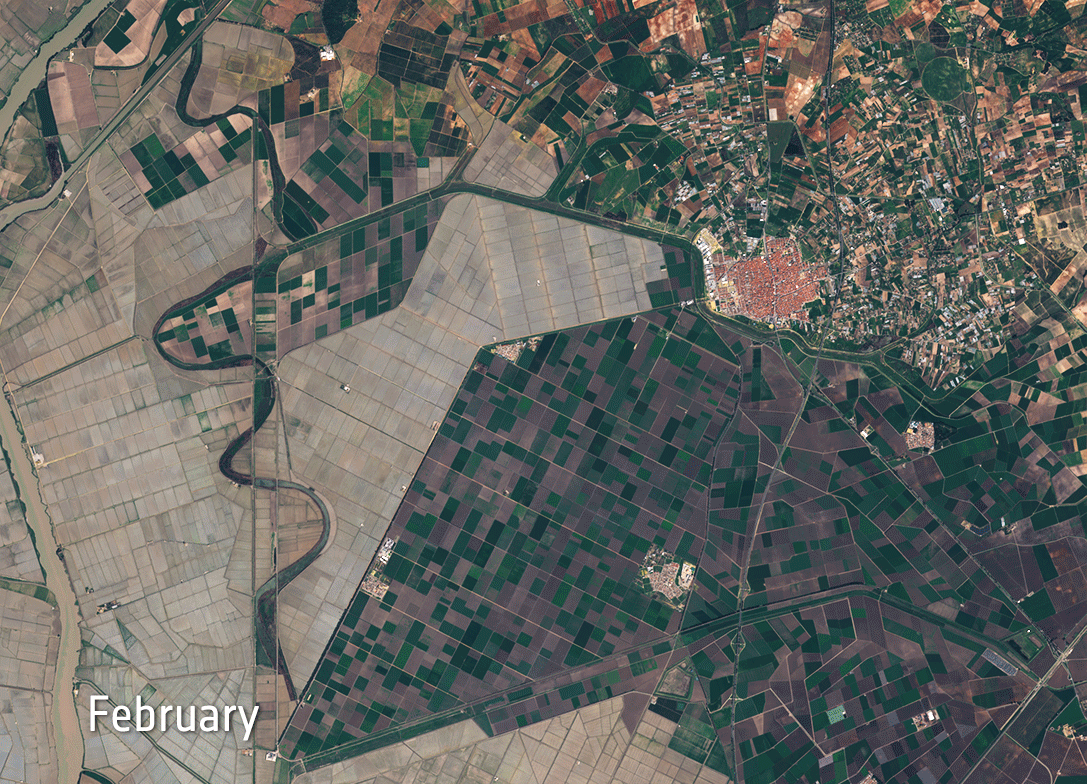 Agricultural monitoring in Spain. Contains modified Copernicus Sentinel data (2016), processed by ESA, CC BY-SA 3.0 IGO