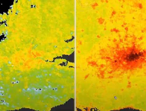 Urban Heat Islands – Understanding the concept of EO time series