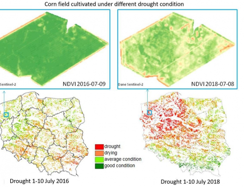 Sentinel-2 data and vegetation indices