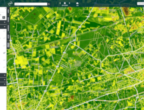 Accessing EO Data Using Terrascope Platform