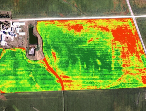 Observando desde el espacio: Agricultura y medio ambiente