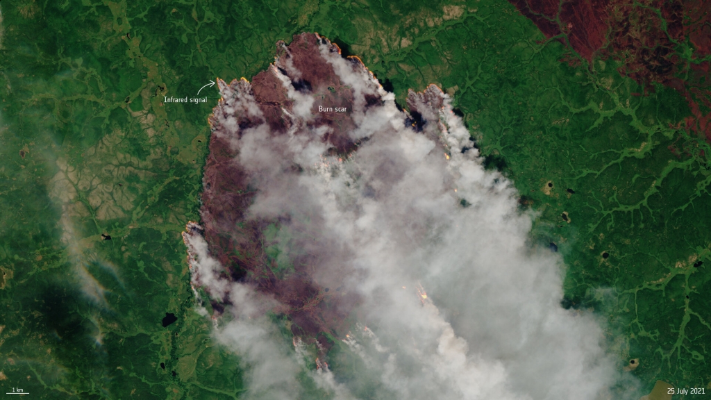This image captured by the Copernicus Sentinel-2 mission shows one of the many forest fires in the Sakha Republic, Siberia, on 25 July 2021. The image has been processed using the mission’s shortwave-infrared band to identify the active fires.