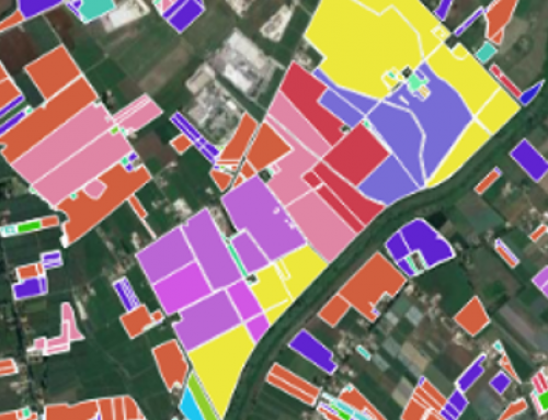 A new Common Agricultural Policy (CAP) based on Copernicus programme and EO4GEO tools