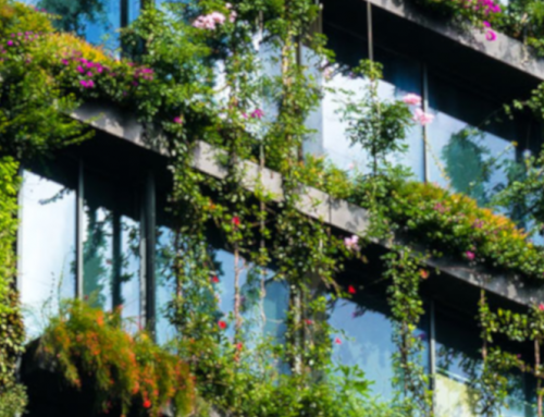 Evaluation and planning of urban green structures
