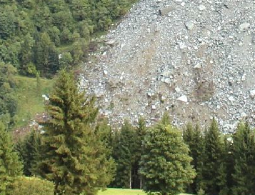 Optical Earth observation data for landslide risk management